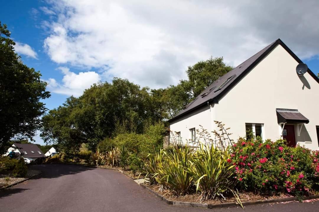Berehaven